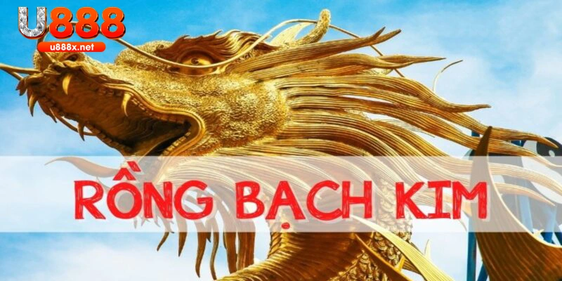 Rồng Bạch Kim